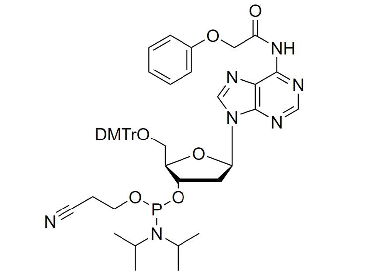 dA(PAc) Phosphoramidite