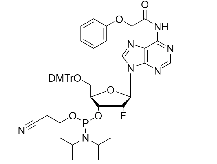 2'-F-dA(PAc) Phosphoramidite