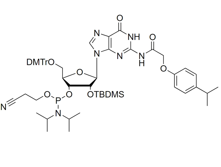 iPr-Pac-rG Phosphoramidite