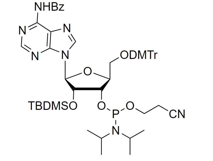 L-rA(Bz) Phosphoramidite