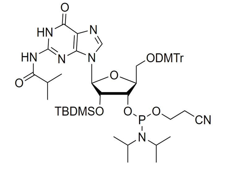 L-rG(ibu) Phosphoramidite