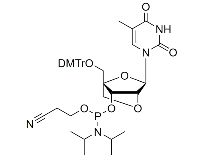 LNA-5-Me-U Phosphoramidite