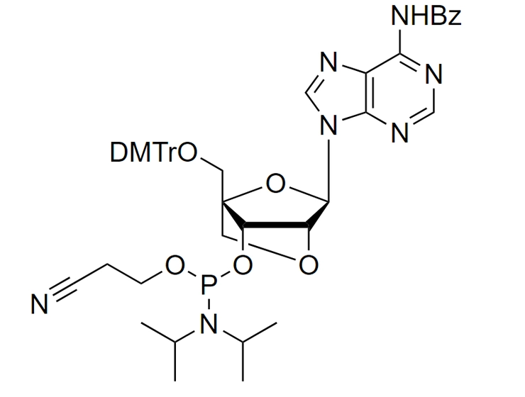 LNA-A(Bz) Phosphoramidite