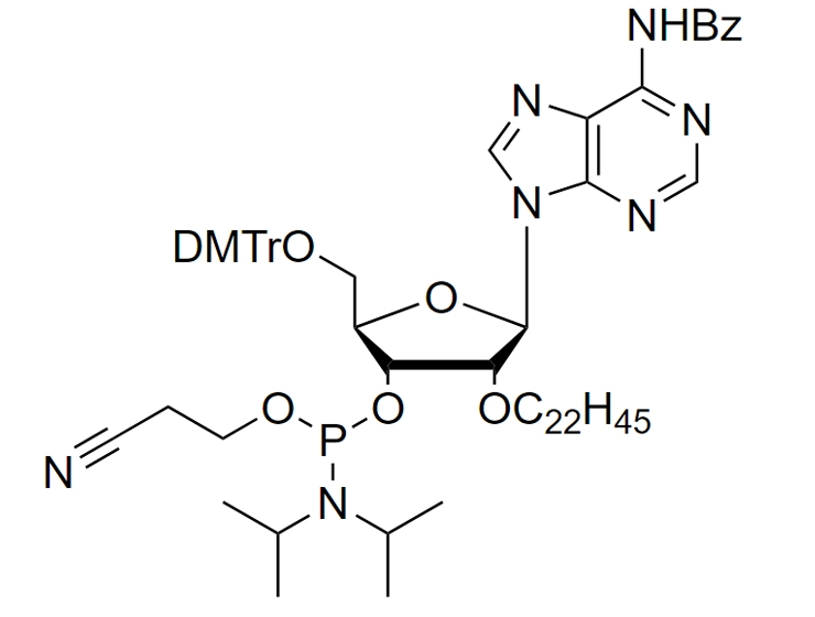 2'-O-C22-A(Bz) Phosphoramidite