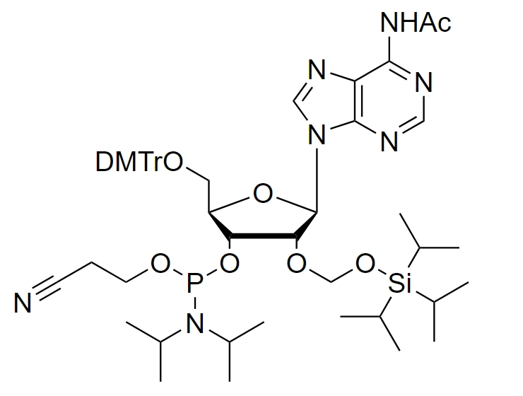 2'-O-TOM-A(Ac) Phosphoramidite