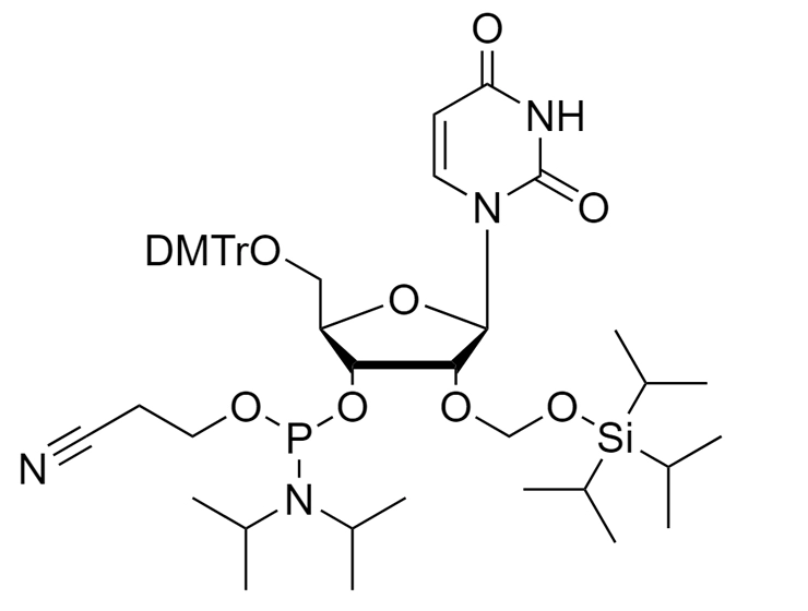 2'-O-TOM-U Phosphoramidite