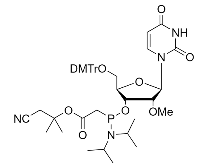 2'-OMe-U-PACE Phosphoramidite