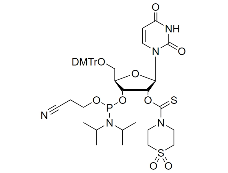 2'-TC-U Phosphoramidite