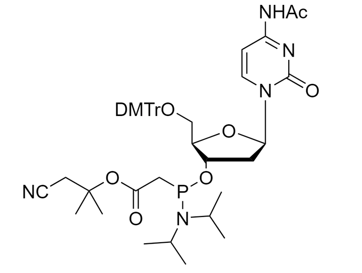 dC(Ac)-PACE Phosphoramidite